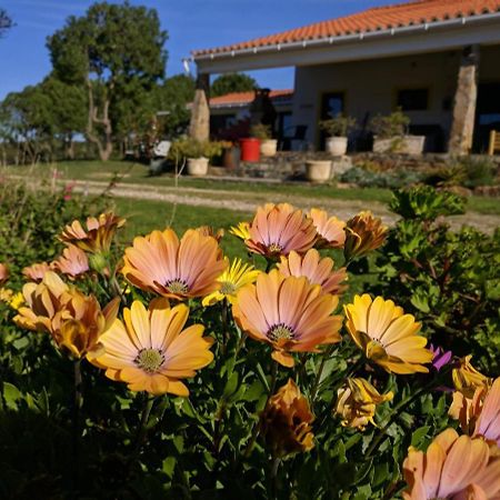 Quinta Reuffurth Daire Aljezur Dış mekan fotoğraf