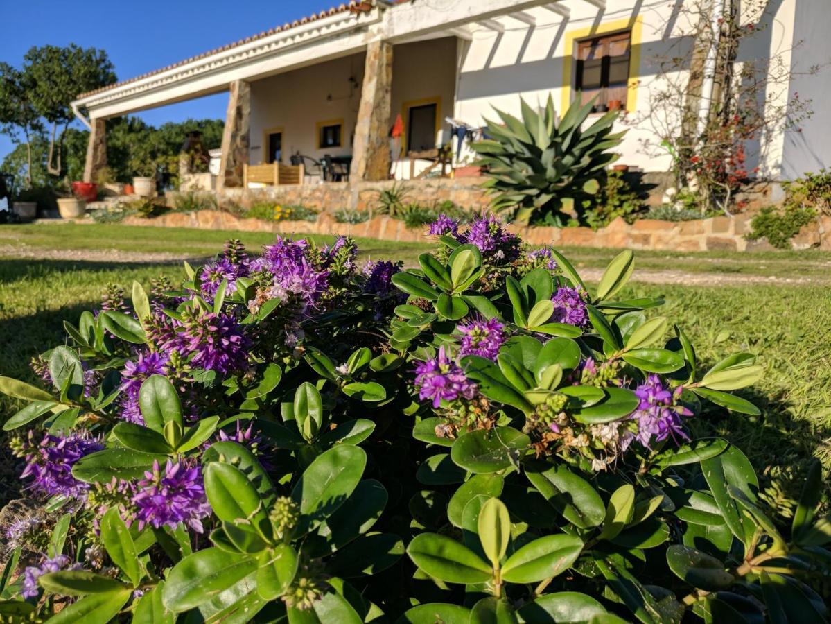 Quinta Reuffurth Daire Aljezur Dış mekan fotoğraf