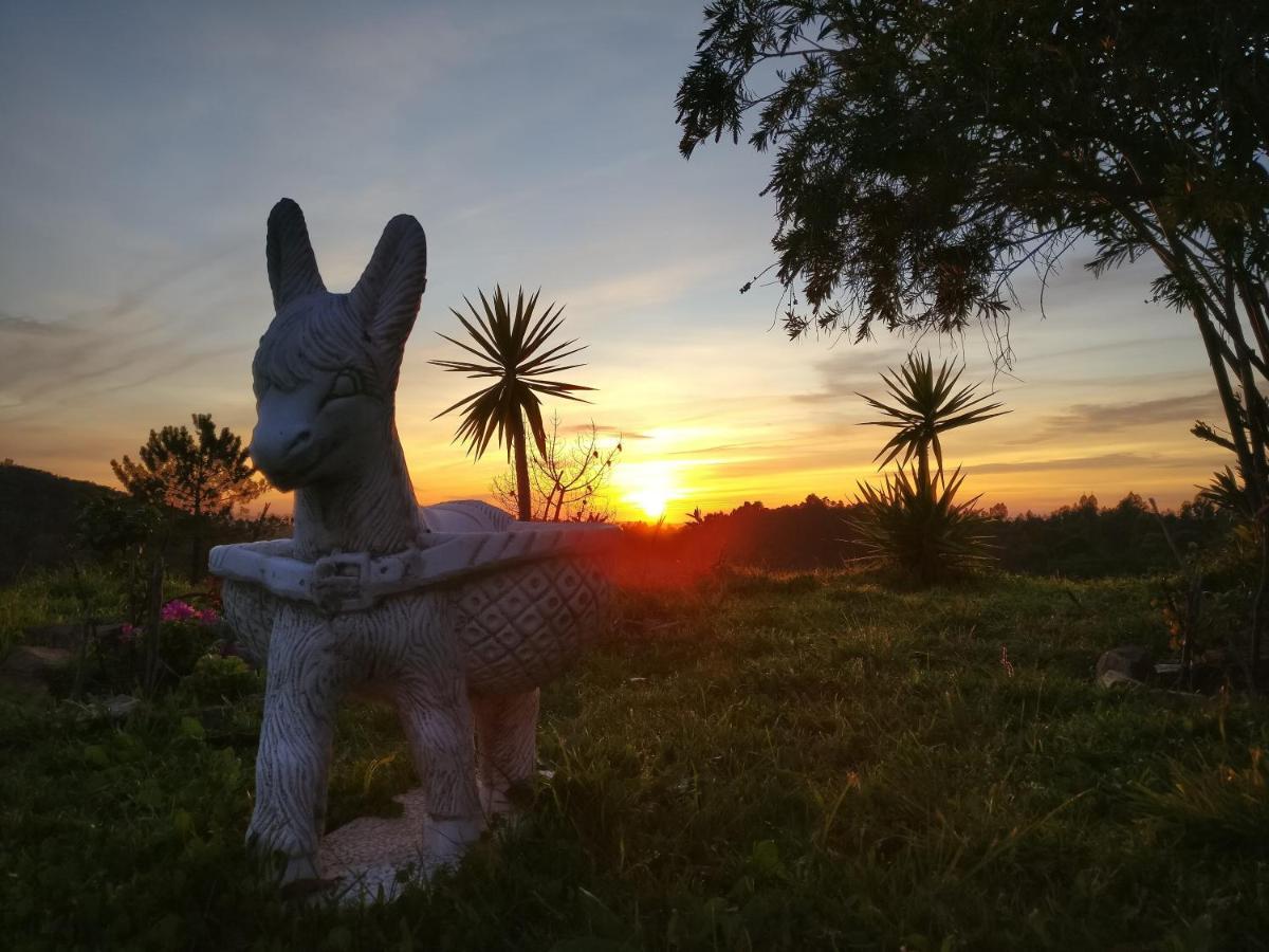 Quinta Reuffurth Daire Aljezur Dış mekan fotoğraf