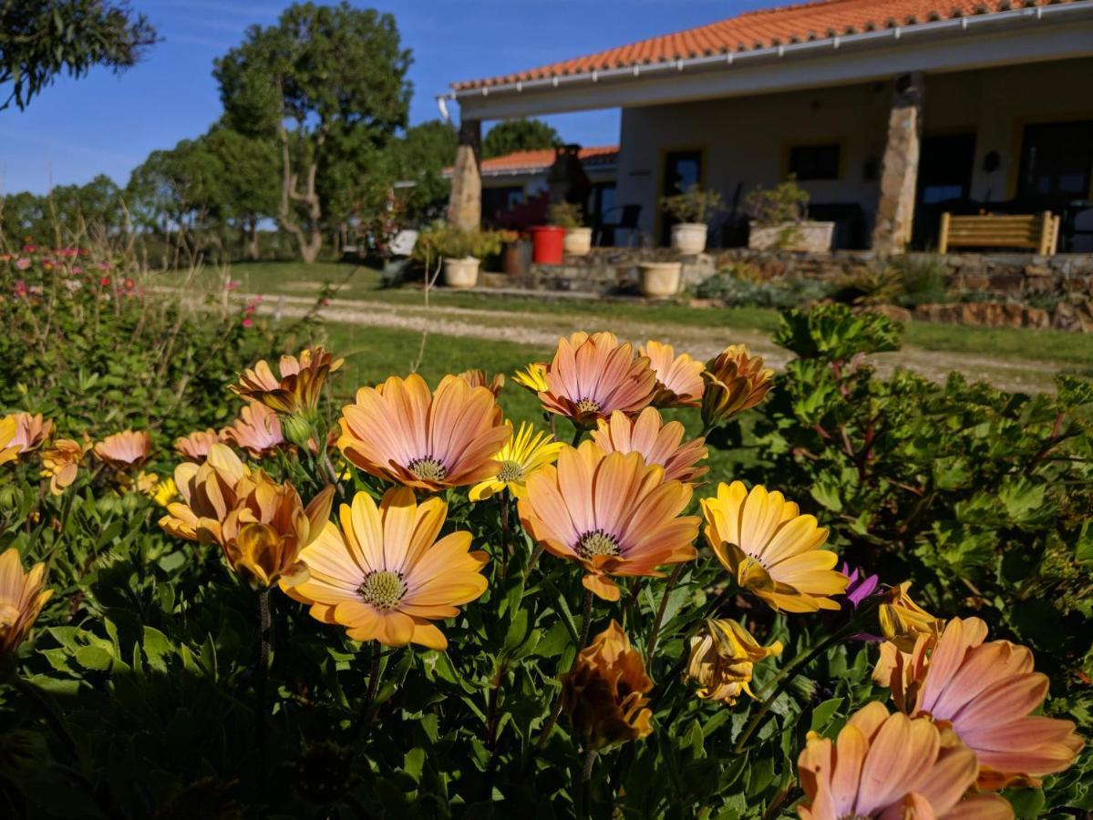 Quinta Reuffurth Daire Aljezur Dış mekan fotoğraf