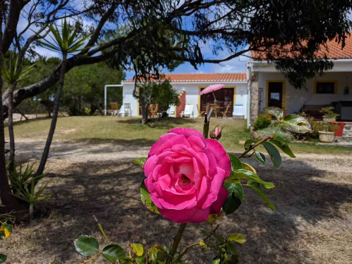 Quinta Reuffurth Daire Aljezur Dış mekan fotoğraf