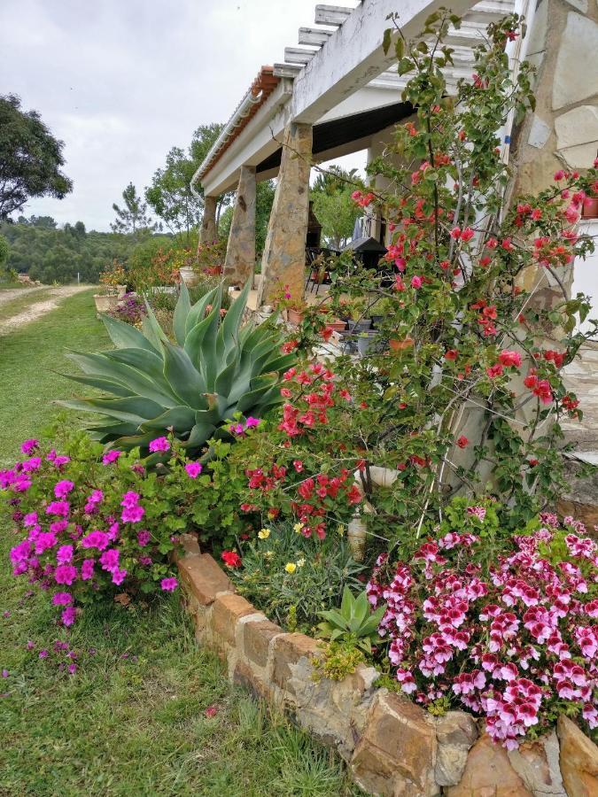 Quinta Reuffurth Daire Aljezur Dış mekan fotoğraf