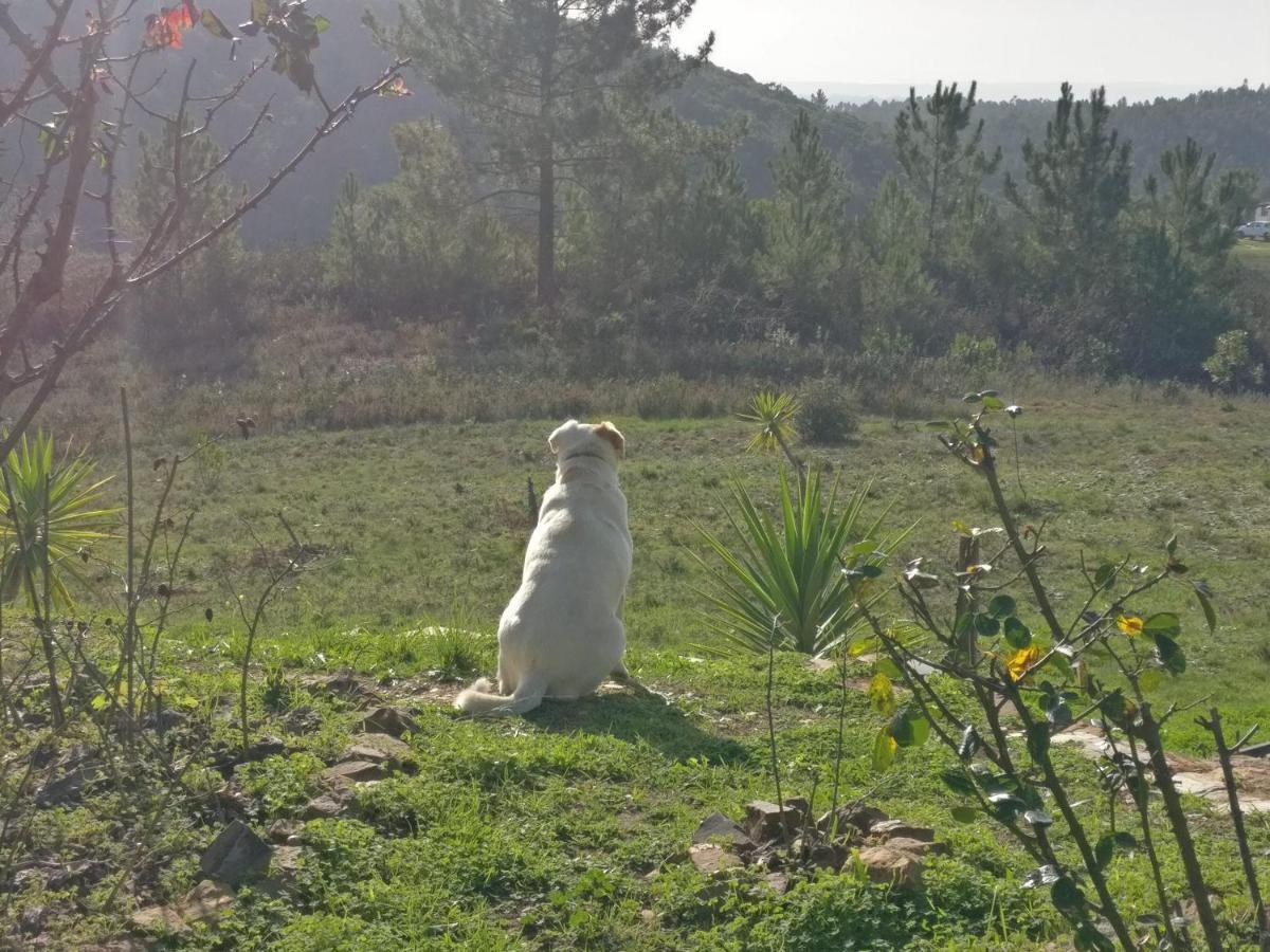 Quinta Reuffurth Daire Aljezur Dış mekan fotoğraf