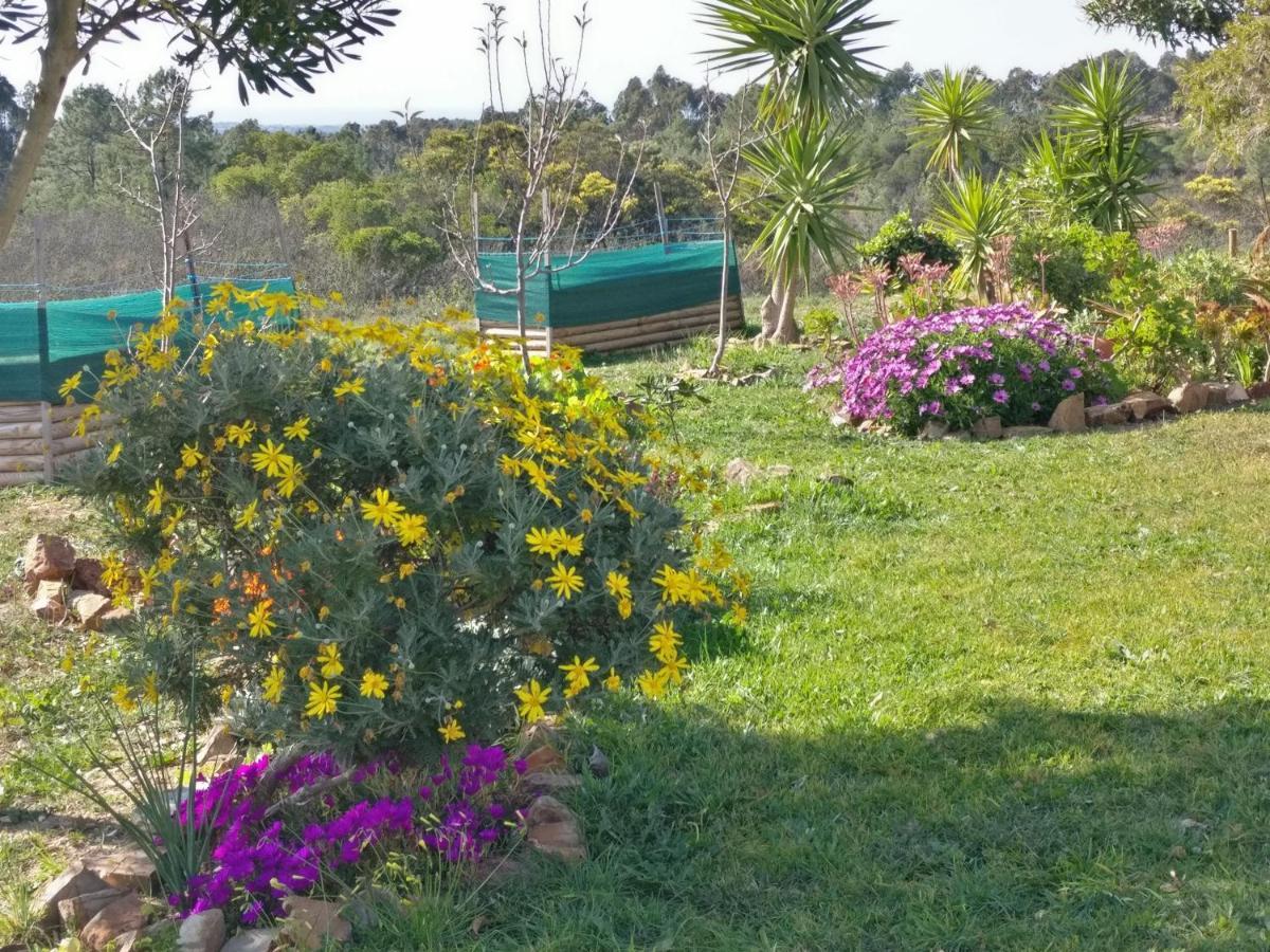 Quinta Reuffurth Daire Aljezur Dış mekan fotoğraf