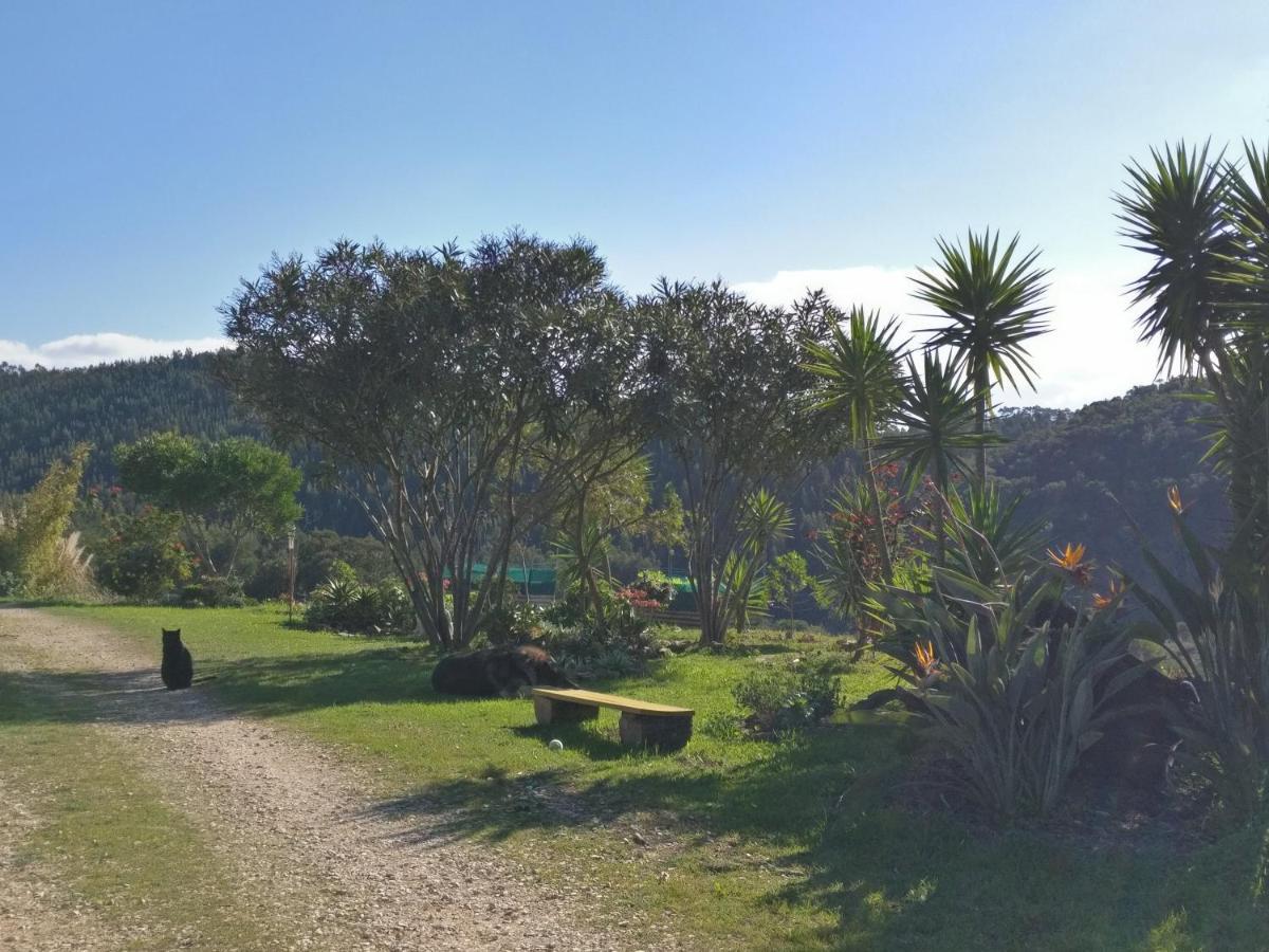 Quinta Reuffurth Daire Aljezur Dış mekan fotoğraf