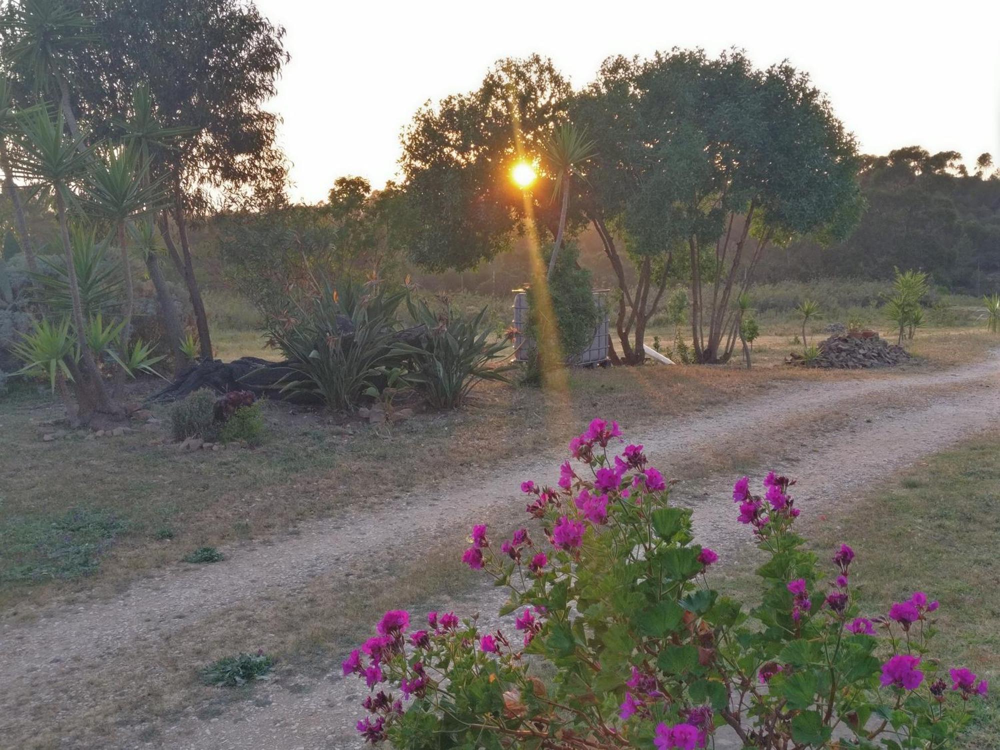 Quinta Reuffurth Daire Aljezur Dış mekan fotoğraf