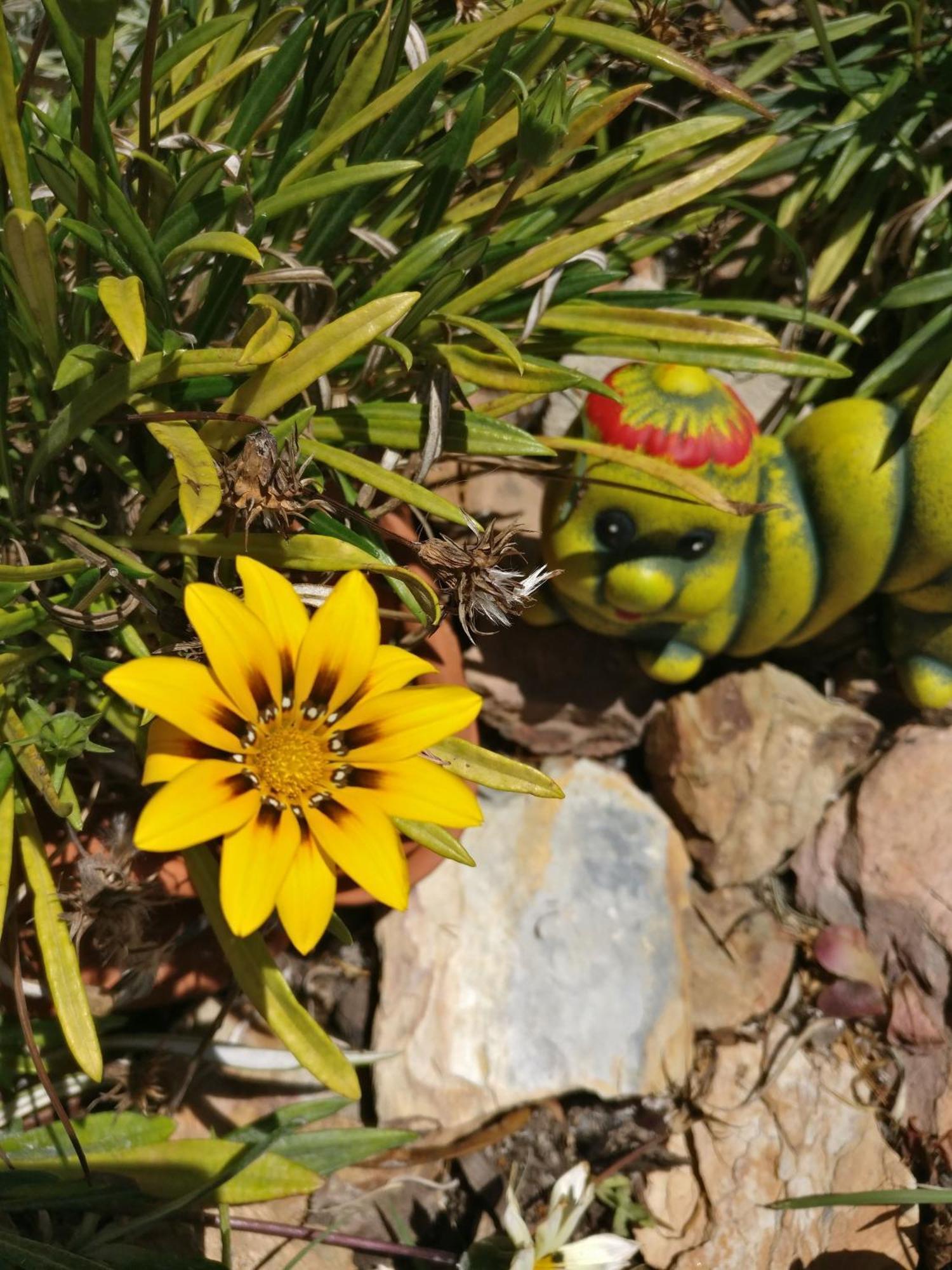 Quinta Reuffurth Daire Aljezur Dış mekan fotoğraf