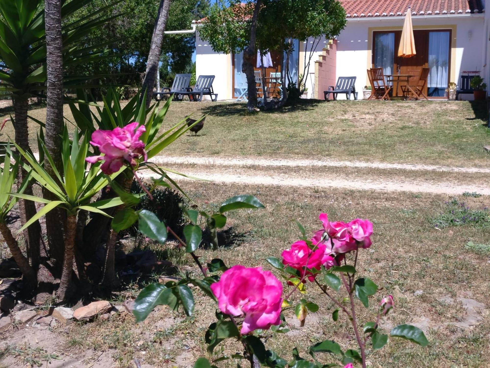 Quinta Reuffurth Daire Aljezur Dış mekan fotoğraf